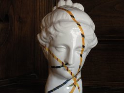 venus 022